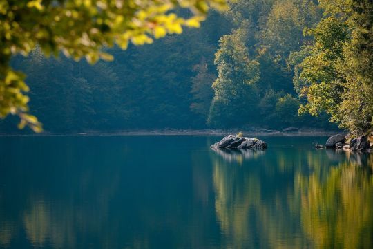 Se reconnecter à la nature pour s'éloigner des ondes électromagnétiques