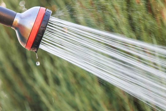 Utiliser l'eau de pluie pour arroser son jardin