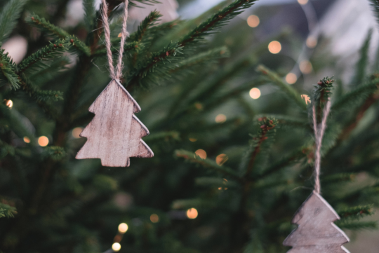 Créer son propre sapin de Noël, une alternative écologique