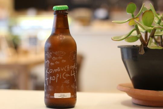 Le Kombucha, une boisson fermentée pour faire la fête
