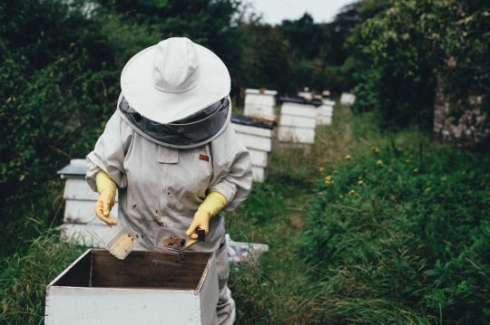 Privilégier l'apiculture française