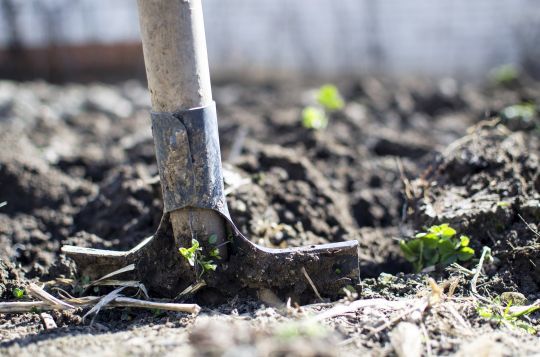 Janvier : le mois pour préparer la terre pour le printemps