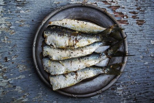 Les sardines, riches en omega 3, parfaite pour soutenir notre système nerveux