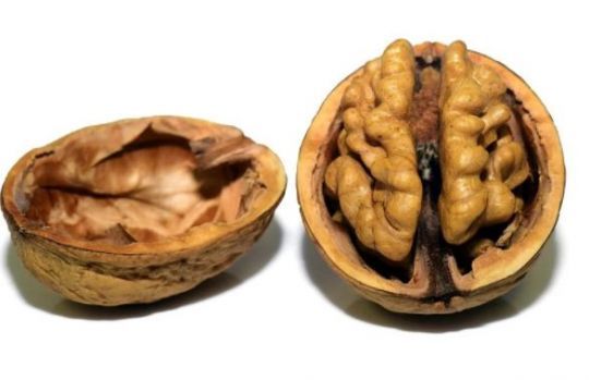 Les noix sont riches en acide gras et en Oméga 3 et 6 