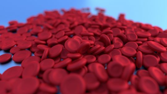 Le fer se trouvent dans les globules rouges