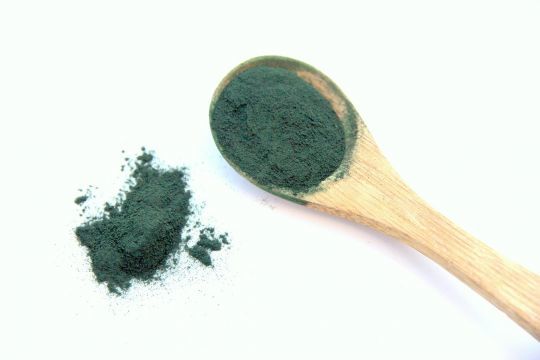 La spiruline est riche en fer