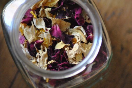 Certaines fleurs sont comestibles