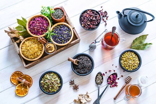 À nos plantes, à nos recettes !