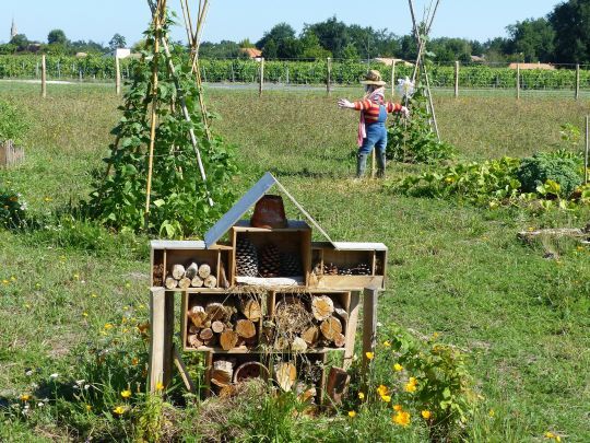 La permaculture est une alternative aux pesticides