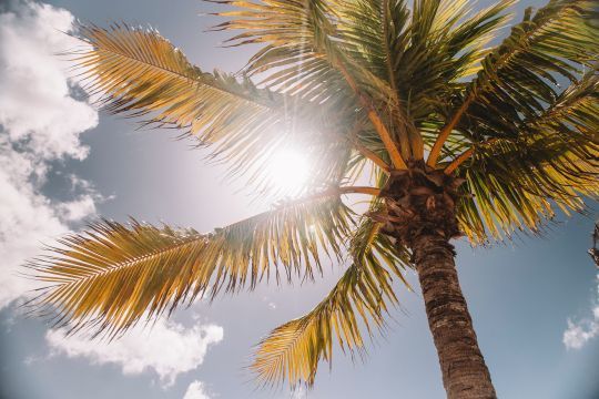 Quand il fait beau on a tendance à avoir le moral