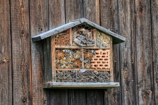 Un hôtel à insectes permet de les attirer