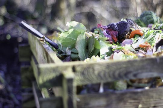 Le compost est un endroit dans lequel on met des déchets organiques