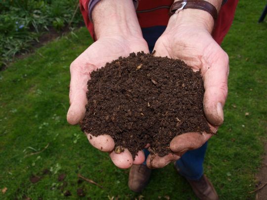 Les vers dans le compost permettent de le dégrader