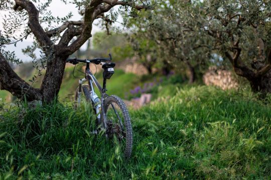 Les balades à vélo 