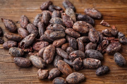Les fèves de cacao crues sont très bonnes pour la santé