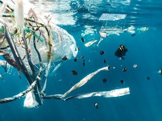 8 millions de tonnes de plastique sont retrouvés dans la mer chaque année