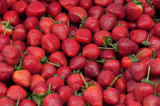 La fraise, un des fruits préférés des français