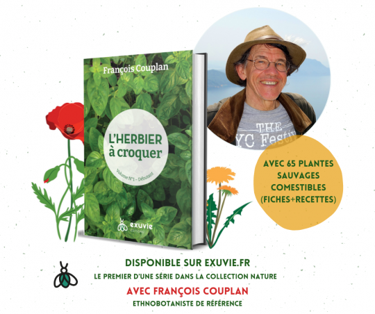 François Couplan, une référence pour les plantes sauvage comestibles