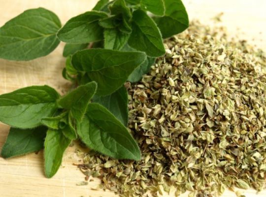 L'origan a un effet positif sur la sphère respiratoire