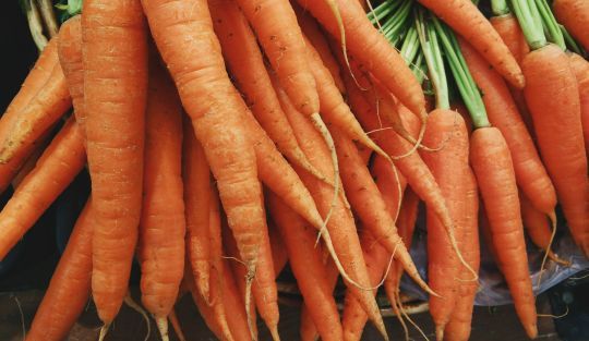 La carotte est riche en bêta-carotène