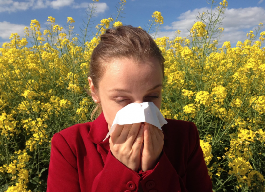 Les allergies printanières sont dues aux pollens