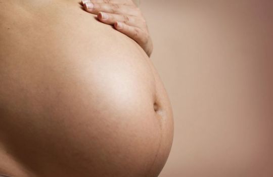 Lors de la grossesse, les cellules du derme sont altérées par les niveaux d'hormones.