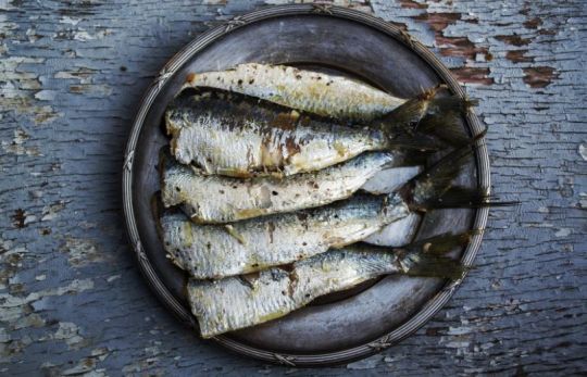 Les sardines contiennent 14 μg de vitamine D au 100g  