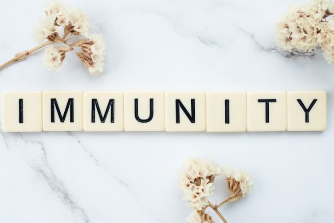 Qu'est-ce que le système immunitaire, et comment le renforcer naturellement ?
